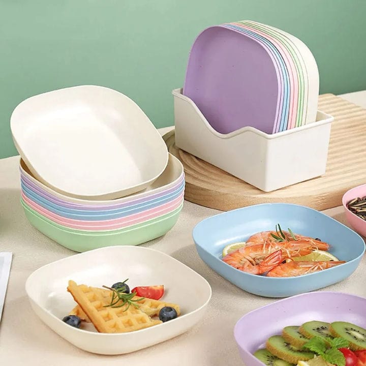 Pack of 10 Plates With Stand